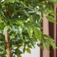 Glitzhome 5ft. Creative Shaped Faux Ficus Tree in Pot