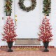 Glitzhome 36"H Christmas Lighted Berry and Pine Cone Urn Porch Tree, 20 Warm White Lights with timer