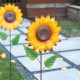 Glitzhome S/2  42"H Fall Metal Sunflower Yard Stake(KD)