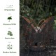 Glitzhome 9"L  Set of 2 Black and Gold Metal Cutout Flying Butterfly Silhouette Solar Powdered Edison Bulb Outdoor Lantern.