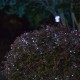 Glitzhome 38.5ft. Set of 2 Solar String Light with 100 Lights (KD)