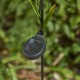 Glitzhome 36"H Solar Hummingbird Yardstake (KD)