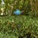 Glitzhome 36"H Solar Hummingbird Yardstake (KD)