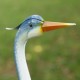 Glitzhome 39.25"H Metal Standing Crane  Garden Statue with Stakes  (KD)