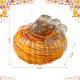 Glitzhome 6"D Fall Multi Stripes Glass Pumpkin