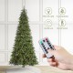 Glitzhome 9ft Pre-Lit Green Slim Fir Artificial Christmas Tree with 650 Warm White/Multi-color LED Lights, 9 Function, w/Remote Control, Simple Setup