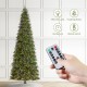 Glitzhome 11ft Pre-Lit Green Slim Fir Artificial Christmas Tree with 850 Warm White/Multi-color LED Lights, 9 Function, w/Remote Control, Simple Setup