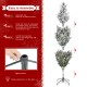 Glitzhome 9ft Pre-Lit Flocked Full Fir Artificial Christmas Tree with 650 Warm White/Multicolor LED Lights, 9 Function w/Foot Pedal, Simple Setup