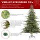 Glitzhome 7.5ft Pre-Lit Green Full Fir Artificial Christmas Tree with 1600 Warm White/Multi-color Horse Race LED Lights, 9 Function w/Foot Pedal and Remote Control, Simple Setup