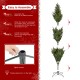 Glitzhome 9ft Pre-Lit Green Full Fir Artificial Christmas Tree with 2000 Warm White/Multi-color Horse Race LED Lights, 9 Function w/Foot Pedal and Remote Control, Simple Setup