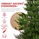 Glitzhome 9ft Pre-Lit Green Upward Slim Fir Artificial Christmas Tree with 700 Warm White and Multi-color LED Lights, 9 funciton w/ Foot Pedal and Remote Control, Simple Setup