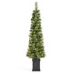 Glitzhome 5ft Pre-Lit Green Cashmere Pine Christmas Porch Tree With pinecones,90 Warm White/Multi-color Lights,9 Function w/Remote control