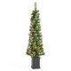 Glitzhome 5ft Pre-Lit Green Cashmere Pine Christmas Porch Tree With pinecones,90 Warm White/Multi-color Lights,9 Function w/Remote control