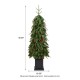Glitzhome 4ft Pre-lit Green Artificial Christmas Porch Tree with red berries,pinecones and 100 warm white lights,3 function w/Foot Pedal