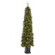 Glitzhome 6ft Pre-lit Green Artificial Christmas Porch Tree with red berries,pinecones and 180 warm white lights,3 function w/Foot Pedal
