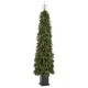 Glitzhome 6ft Pre-lit Green Artificial Christmas Porch Tree with red berries,pinecones and 180 warm white lights,3 function w/Foot Pedal
