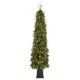 Glitzhome 6ft Pre-lit Green Artificial Christmas Porch Tree with red berries,pinecones and 180 warm white lights,3 function w/Foot Pedal