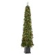 Glitzhome 7ft Pre-lit Green Artificial Christmas Porch Tree with red berries,pinecones and 250 warm white lights,3 function w/Foot Pedal