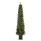 Glitzhome 7ft Pre-lit Green Artificial Christmas Porch Tree with red berries,pinecones and 250 warm white lights,3 function w/Foot Pedal
