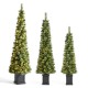 Glitzhome Set of 3 5ft/6ft/7ft Green Cashmere Pine Christmas Porch Tree With pinecones,90/130/200 Warm White/Multi-color Lights,9 Function w/Remote control