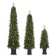 Glitzhome Set of 3 4ft/6ft/7ft Pre-lit Green Artificial Christmas Porch Tree with red berries,pinecones and 250 warm white lights,3 function w/Foot Pedal