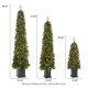 Glitzhome Set of 3 4ft/6ft/7ft Pre-lit Green Artificial Christmas Porch Tree with red berries,pinecones and 250 warm white lights,3 function w/Foot Pedal