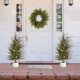 Glitzhome Set of 2 37.5"H Christmas Greenery PE Dripping Pine Porch Tree with Pinecones and Red Berries