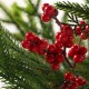 Glitzhome Set of 2 37.5"H Christmas Greenery PE Dripping Pine Porch Tree with Pinecones and Red Berries