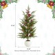 Glitzhome Set of 2 37.5"H Christmas Greenery PE Dripping Pine Porch Tree with Pinecones and Red Berries
