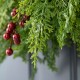 Glitzhome 24"D Christmas Greenery PE Dripping Cedar  Wreath with Red Berries