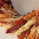 Glitzhome 24"D Fall Multi-Colored Sorghum Wreath Includes a Complimentary Black Metal Wreath Hanger