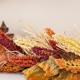 Glitzhome 72"L Fall Multi-Colored Sorghum Garland