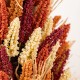 Glitzhome 38"H Fall Multi-Colored Sorghum Porch Tree