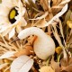 Glitzhome 36"H Fall Neutral Sunflower, Pumpkin and Leaf Porch Tree