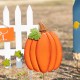 Glitzhome 30.75"H S/5 Fall Metal Scarecrow,Pumpkin & Fence Yard Stake(KD)