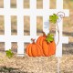 Glitzhome 30.75"H S/5 Fall Metal Scarecrow,Pumpkin & Fence Yard Stake(KD)