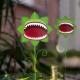 Glitzhome 24"H S/3 Halloween Metal Chomper Yard Stake (KD)