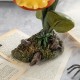 Glitzhome 8.75''H Halloween Resin Chomper Table Decor