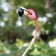 Glitzhome 26.25"H Metal Solar Standing Flamingo Garden Statue (KD)