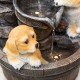 Glitzhome 23.75"H Cute Dog Playing Around the Water Pump Polyresin Outdoor Fountain with Pump and LED Light (KD)