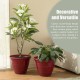 Glitzhome 15.5"D Set of 2 Round Red Faux Ceramic Pot Plastic Planter