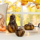 Glitzhome 4.5"D x 4.75"H Multi Brown Striped Glass Short Pumpkin