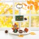 Glitzhome 5.75"H S/4 Thanksgiving Wooden Turkey Table Decor Set