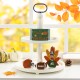 Glitzhome 5.75"H S/4 Thanksgiving Wooden Turkey Table Decor Set