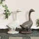Glitzhome 20"H MGO White Goose Garden Statue