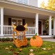 Glitzhome S/2 Fall 2.5D Lighted Pumpkin and Highland Cow Outdoor Décor with 130 warm White LED Lights
