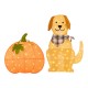 Glitzhome 47"H Fall 2.5D Lighted Labrador on Pumpkin Outdoor Décor with 90 warm White LED Lights