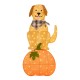 Glitzhome 47"H Fall 2.5D Lighted Labrador on Pumpkin Outdoor Décor with 90 warm White LED Lights
