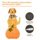 Glitzhome 47"H Fall 2.5D Lighted Labrador on Pumpkin Outdoor Décor with 90 warm White LED Lights