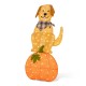 Glitzhome 47"H Fall 2.5D Lighted Labrador on Pumpkin Outdoor Décor with 90 warm White LED Lights
